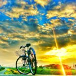 日日是好日 2016年ラスト投稿です。ありがとうございます。